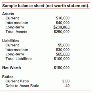 What is What Is Net Worth?