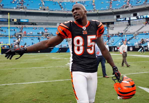 What is Chad Johnson Net Worth?