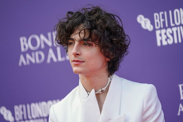 What is Timothee Chalamet Net Worth?