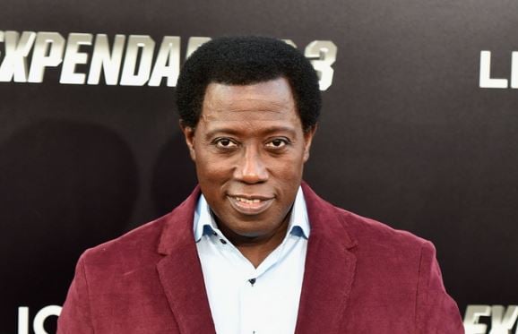 What is Wesley Snipes Net Worth?