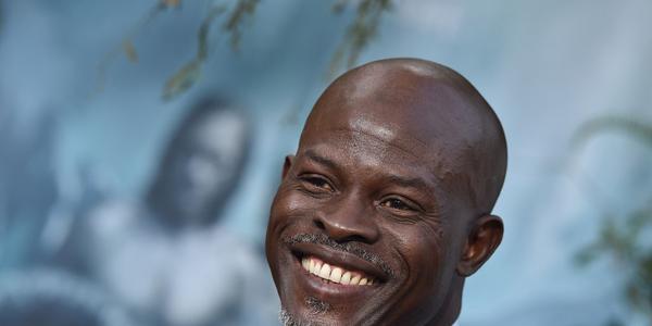What is Djimon Hounsou Net Worth?