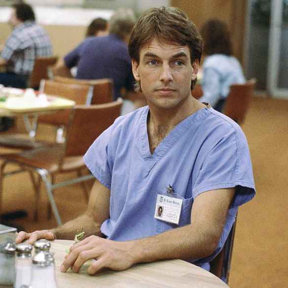 What is Mark Harmon Net Worth?