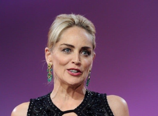 What is Sharon Stone Net Worth?