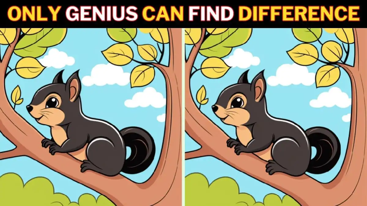 Only Sharp Eyes Can spot 3 differences