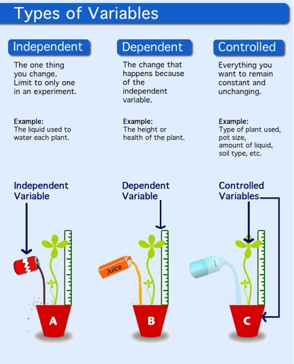 What Is The Independent Variable In An Experiment