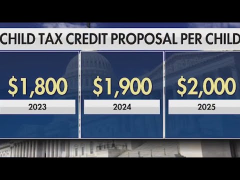 What Is The Child Tax Credit For 2024