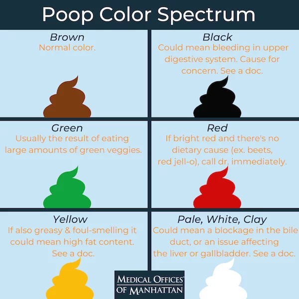 What Does It Mean If Your Poop Is Green