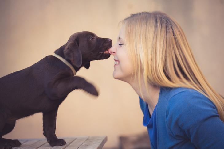 What Does It Mean When A Dog Licks You