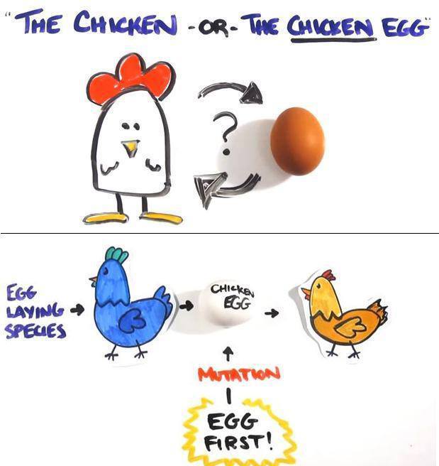 What Came First The Chicken Or The Egg