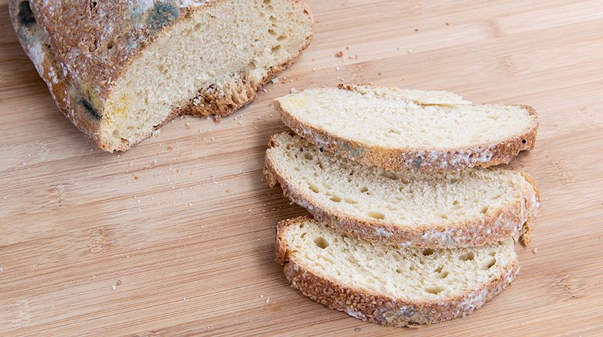 What Happens If You Eat Moldy Bread