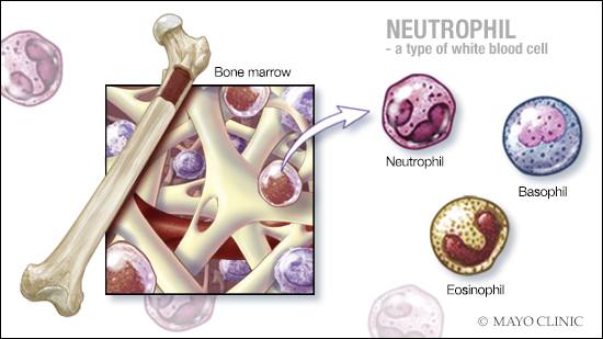 What Causes Low White Blood Cell Count