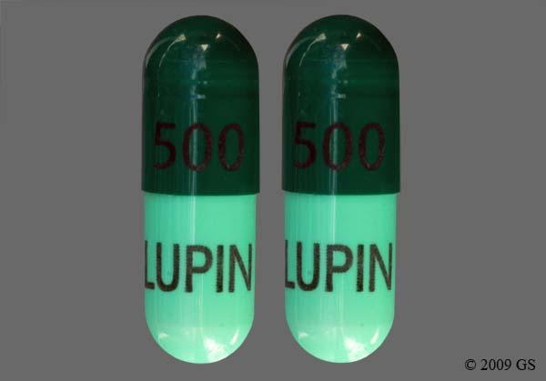 What Is Cephalexin 500 Mg Used For