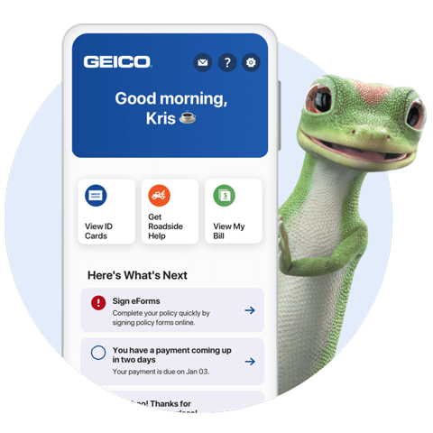 What Is Geico'S 1 800 Number?