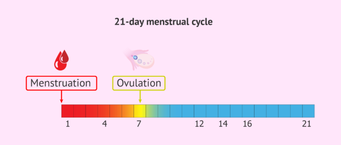 What Are The Chances Of Getting Pregnant From Precum